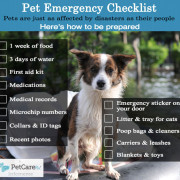 Disaster Preparedness for Pets | The Happy Beast