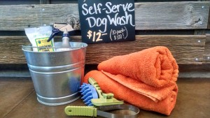 Self-Serve Dog Wash | Dog Hiking Gear & Tips | The Happy Beast
