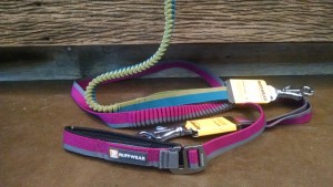Dog Leashes | Dog Hiking Gear & Tips | The Happy Beast