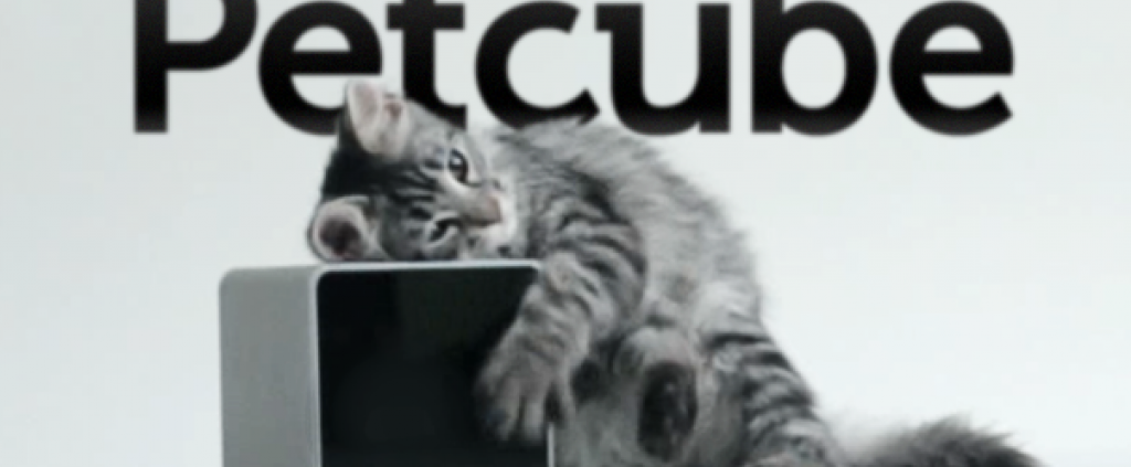 Buy a Petcube through The Happy Beast's referral program.