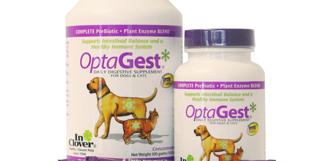 Digestive Enzymes for Pets | The Happy Beast