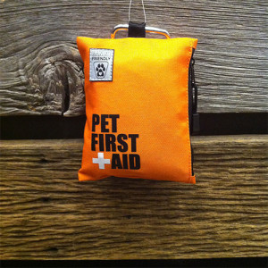 Winter Hiking Gear: Pet First Aid Kit - The Happy Beast